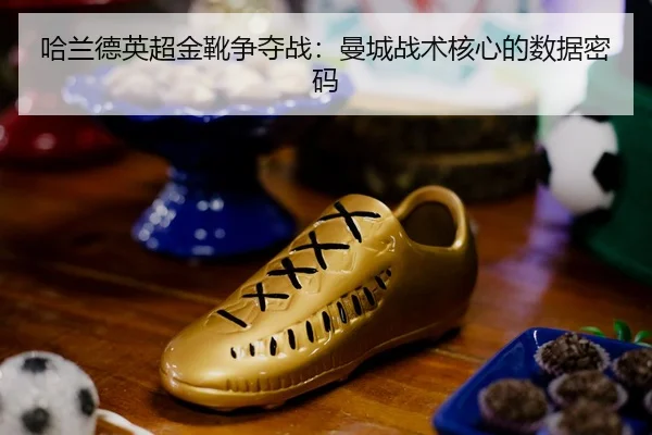 ha-lan-de-ying-chao-jin-xue-zheng-duo-zhan-man-cheng-zhan-shu-he-xin-de-shu-ju-mi-ma-2-347.jpg