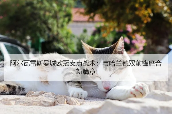a-er-wa-lei-si-man-cheng-ou-guan-zhi-dian-zhan-shu-yu-ha-lan-de-shuang-qian-feng-mo-he-xin-pian-zhang-2-507.jpg