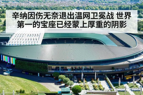 辛纳因伤无奈退出温网卫冕战 世界第一的宝座已经蒙上厚重的阴影