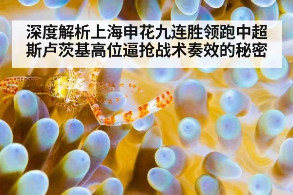 深度解析上海申花九连胜领跑中超斯卢茨基高位逼抢战术奏效的秘密